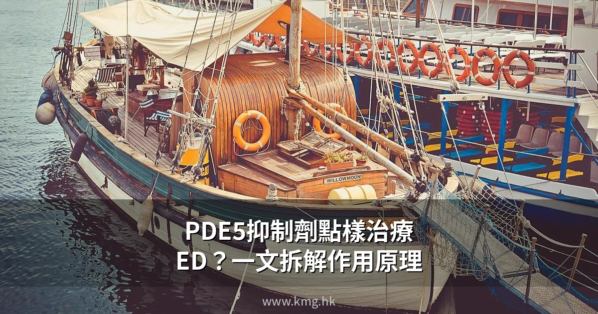 PDE5抑制劑作用原理解說